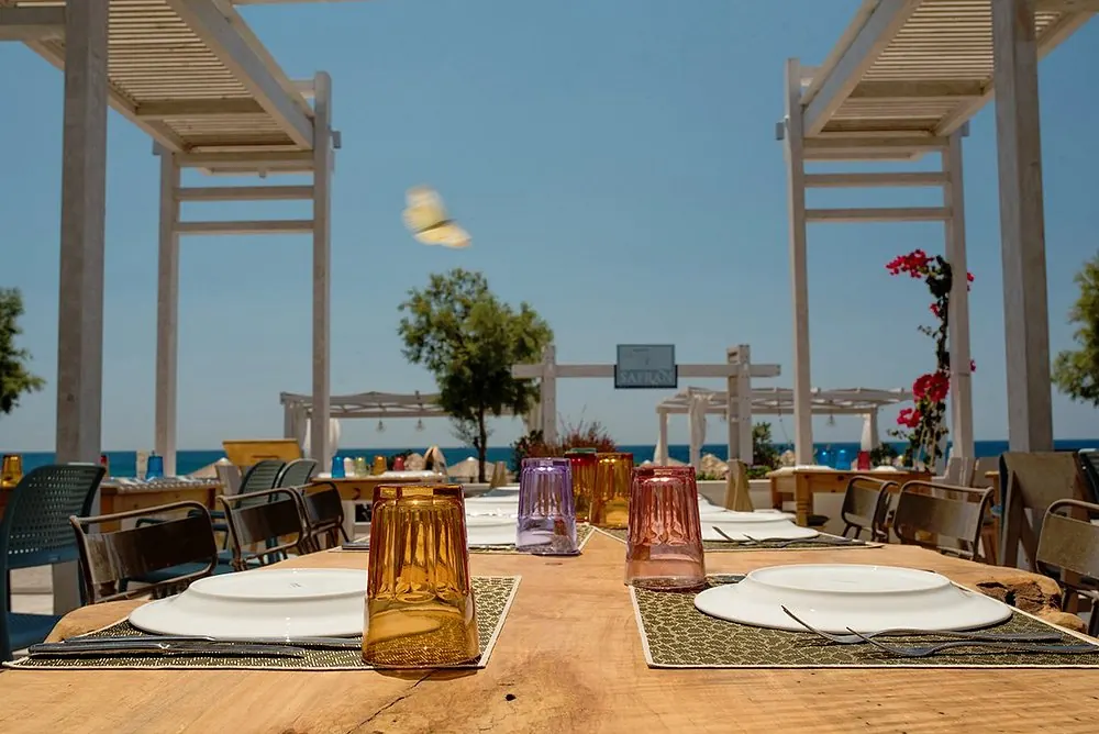 Vegetarian and Vegan Dishes at aegean Safran: Plant-Based Greek Food in Santorini