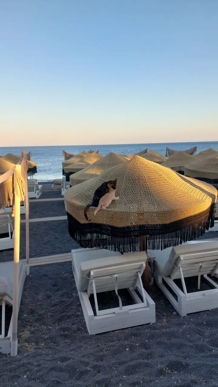 Perivolos vs Perissa: Which Santorini Black-Sand Beach Fits Your Trip?